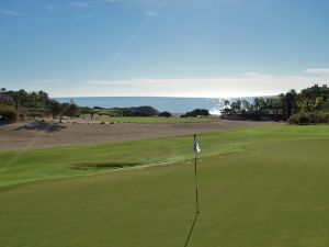 Cabo Del Sol (Ocean) 8th Back